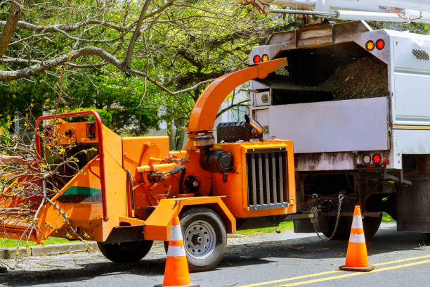 Soil Testing and Treatment in Oakdale, PA